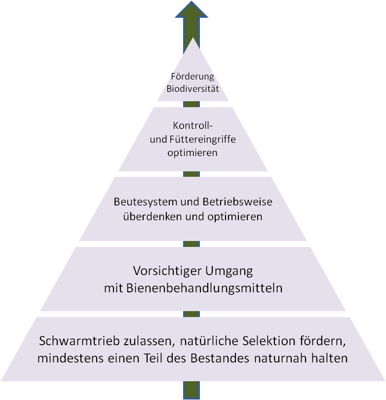 Handlungsempfehlung für Imker